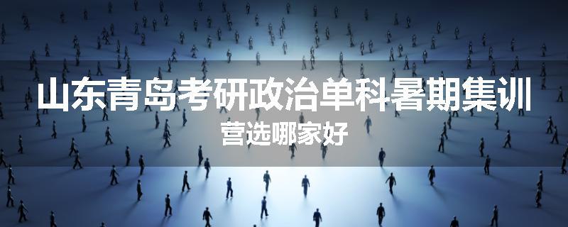山东青岛考研政治单科暑期集训营选哪家好