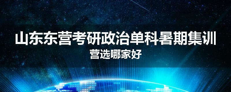 山东东营考研政治单科暑期集训营选哪家好