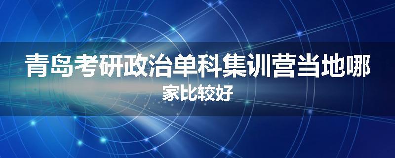 青岛考研政治单科集训营当地哪家比较好