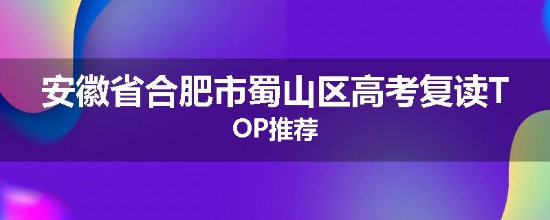 安徽省合肥市蜀山区高考复读TOP推荐