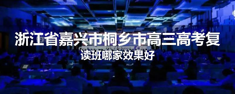 浙江省嘉兴市桐乡市高三高考复读班哪家效果好