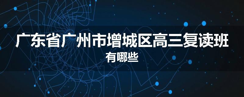广东省广州市增城区高三复读班有哪些