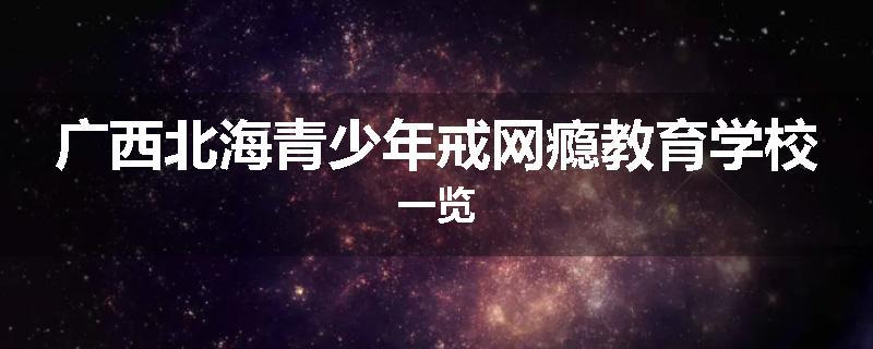 广西北海青少年戒网瘾教育学校一览