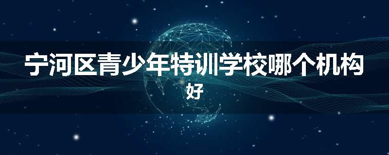 宁河区青少年特训学校哪个机构好