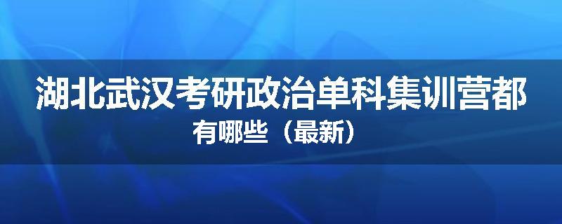 湖北武汉考研政治单科集训营都有哪些（最新）