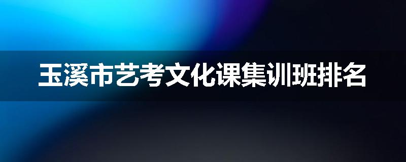 玉溪市艺考文化课集训班排名