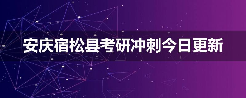 安庆宿松县考研冲刺今日更新