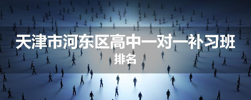 天津市河东区高中一对一补习班排名