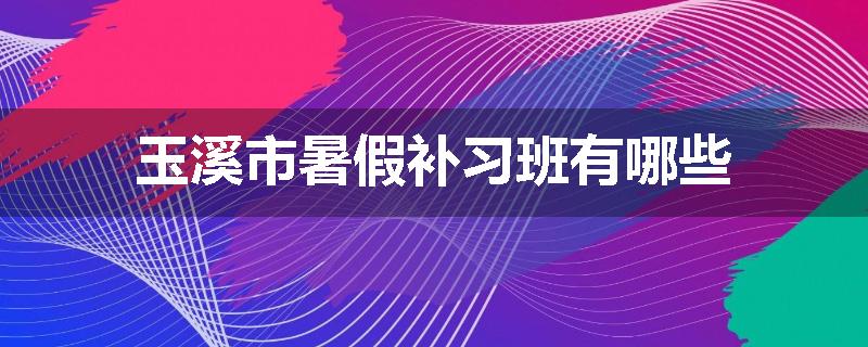 玉溪市暑假补习班有哪些