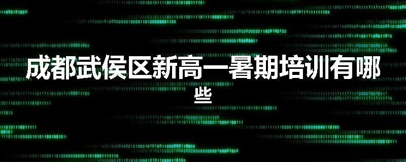 成都武侯区新高一暑期培训有哪些