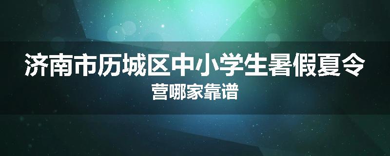济南市历城区中小学生暑假夏令营哪家靠谱