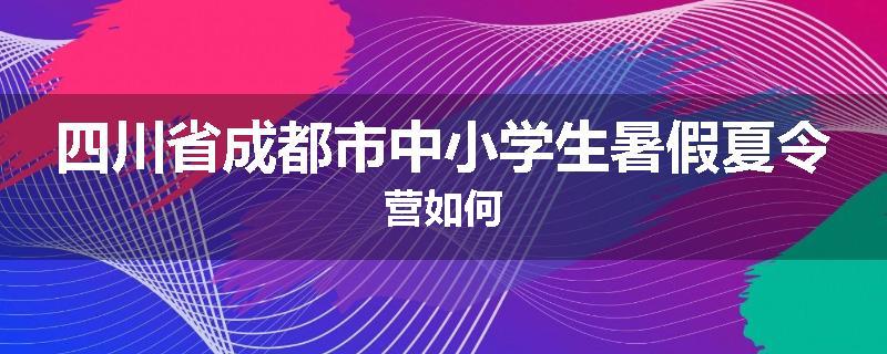 四川省成都市中小学生暑假夏令营如何