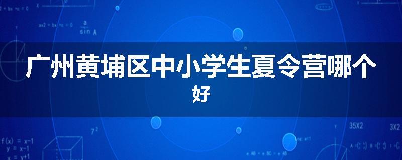 广州黄埔区中小学生夏令营哪个好