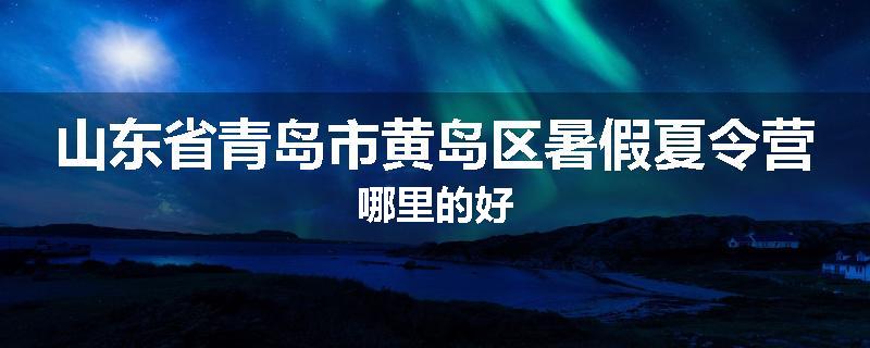 山东省青岛市黄岛区暑假夏令营哪里的好