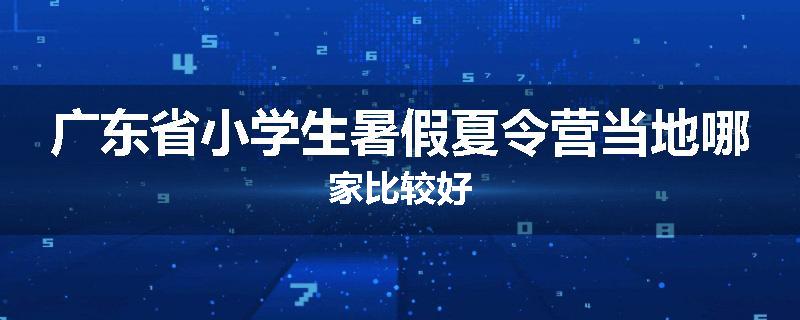 广东省小学生暑假夏令营当地哪家比较好