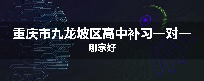重庆市九龙坡区高中补习一对一哪家好