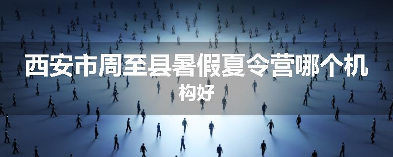 西安市周至县暑假夏令营哪个机构好