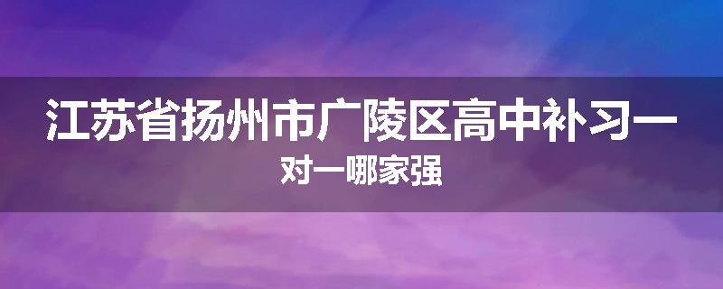 江苏省扬州市广陵区高中补习一对一哪家强
