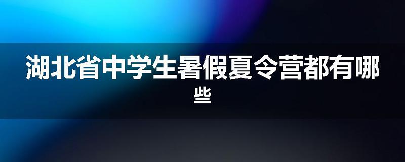湖北省中学生暑假夏令营都有哪些