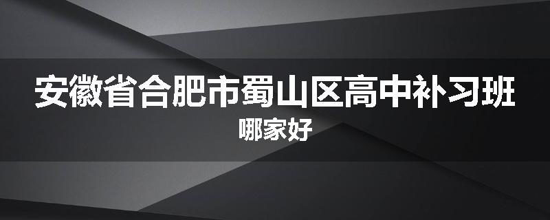 安徽省合肥市蜀山区高中补习班哪家好