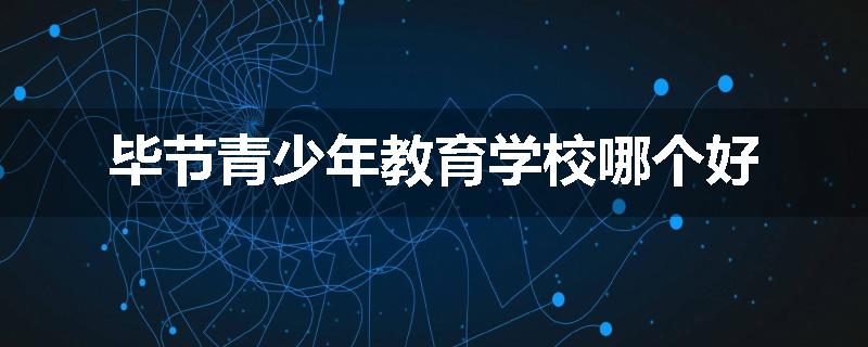 毕节青少年教育学校哪个好