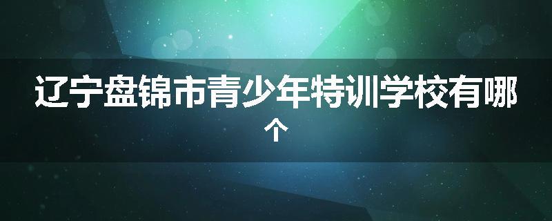辽宁盘锦市青少年特训学校有哪个