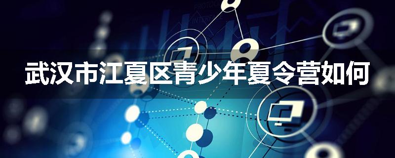 武汉市江夏区青少年夏令营如何