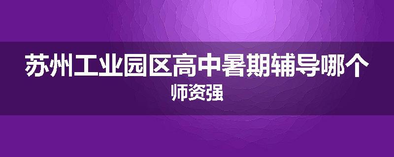 苏州工业园区高中暑期辅导哪个师资强