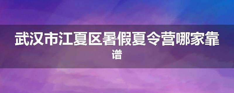 武汉市江夏区暑假夏令营哪家靠谱