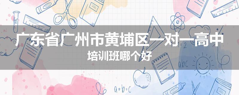 广东省广州市黄埔区一对一高中培训班哪个好