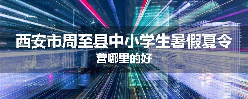 西安市周至县中小学生暑假夏令营哪里的好