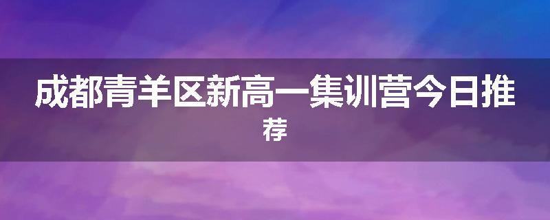 成都青羊区新高一集训营今日推荐