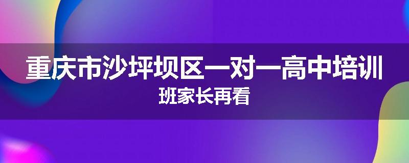 重庆市沙坪坝区一对一高中培训班家长再看