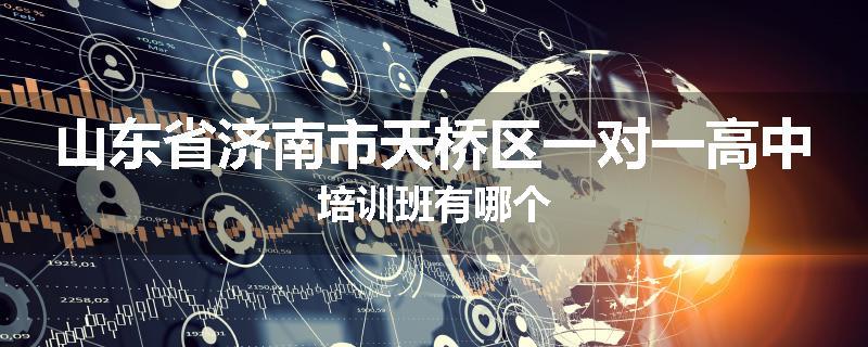 山东省济南市天桥区一对一高中培训班有哪个