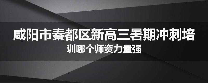 咸阳市秦都区新高三暑期冲刺培训哪个师资力量强
