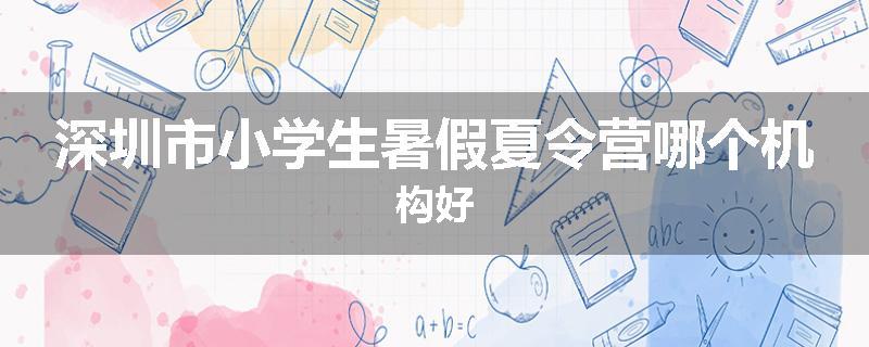 深圳市小学生暑假夏令营哪个机构好