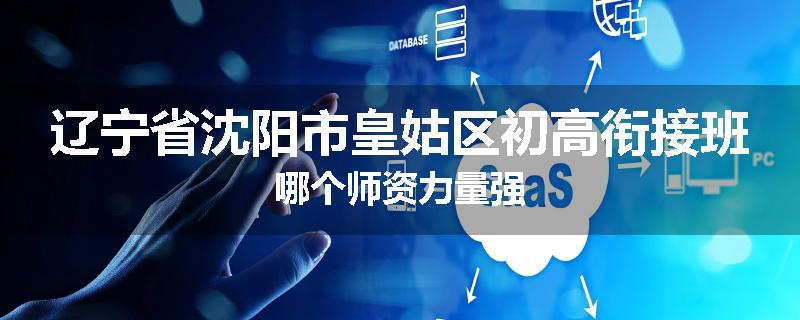 辽宁省沈阳市皇姑区初高衔接班哪个师资力量强