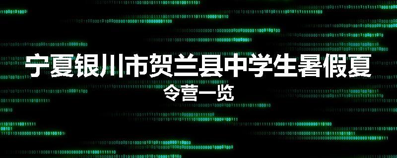 宁夏银川市贺兰县中学生暑假夏令营一览