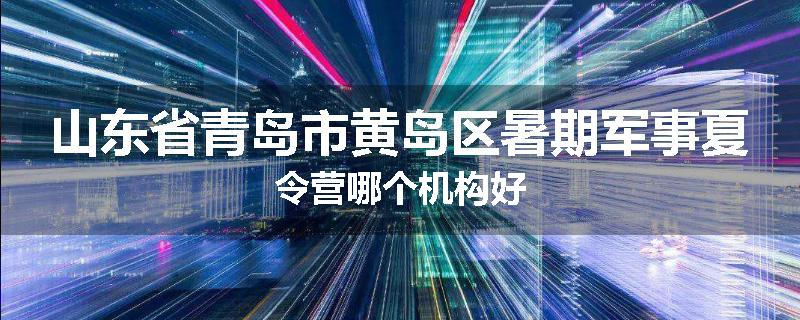 山东省青岛市黄岛区暑期军事夏令营哪个机构好