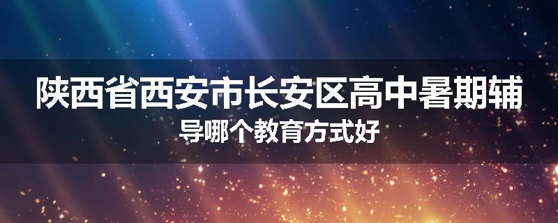 陕西省西安市长安区高中暑期辅导哪个教育方式好