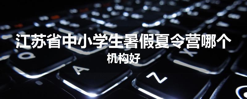 江苏省中小学生暑假夏令营哪个机构好