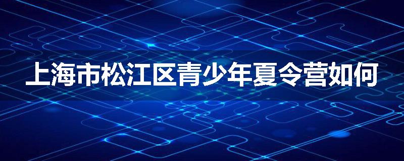 上海市松江区青少年夏令营如何