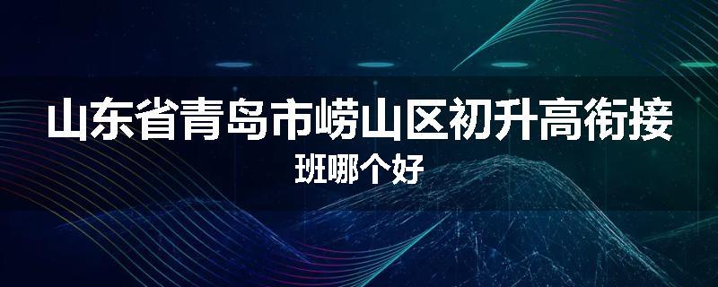 山东省青岛市崂山区初升高衔接班哪个好