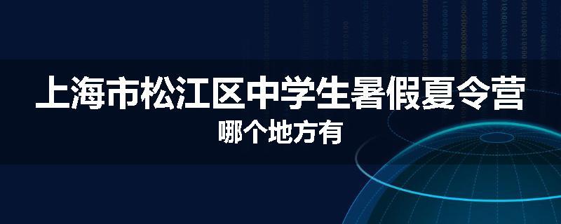上海市松江区中学生暑假夏令营哪个地方有