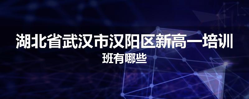 湖北省武汉市汉阳区新高一培训班有哪些