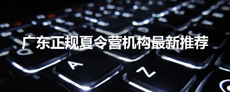 广东正规夏令营机构最新推荐