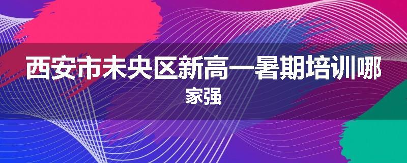 西安市未央区新高一暑期培训哪家强