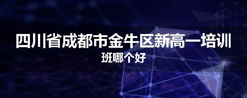 四川省成都市金牛区新高一培训班哪个好