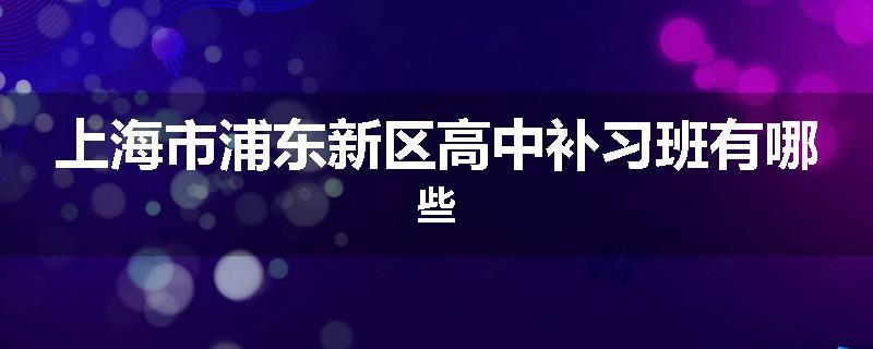 上海市浦东新区高中补习班有哪些