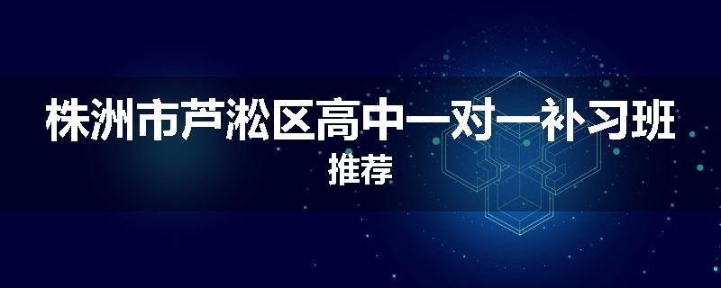 株洲市芦淞区高中一对一补习班推荐